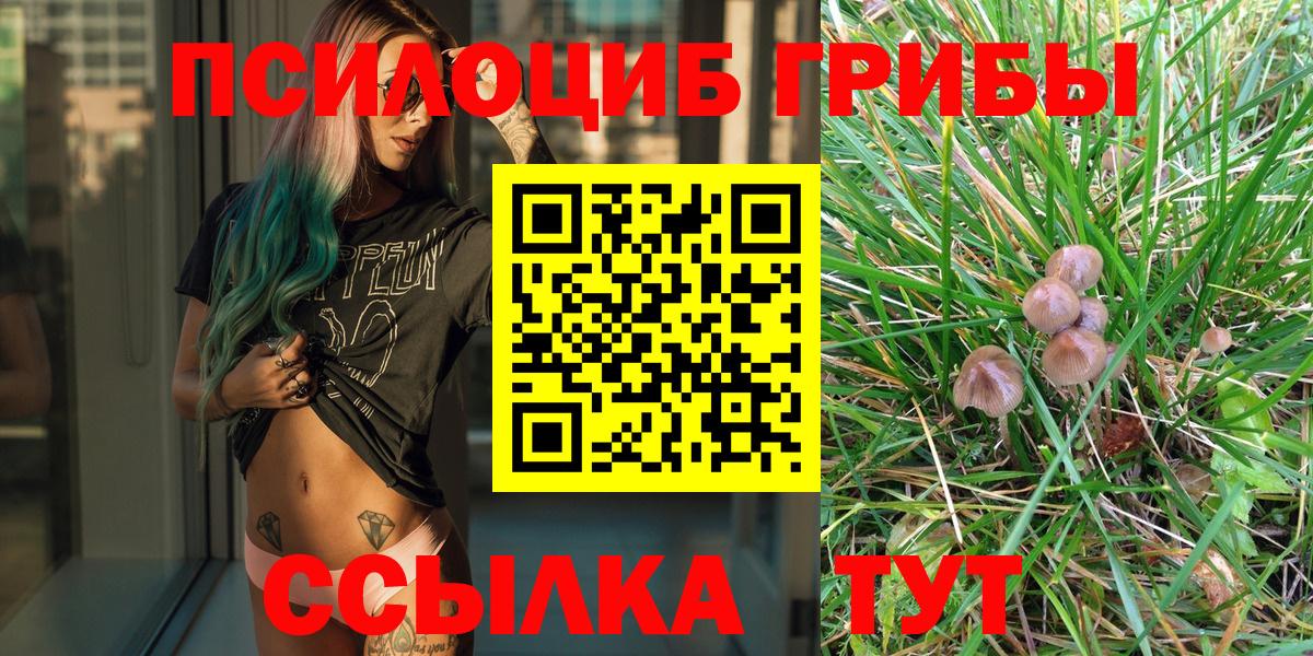 купить наркоту  Галлюциногенные грибы Cubensis  Вход с VPN  Михайловск 