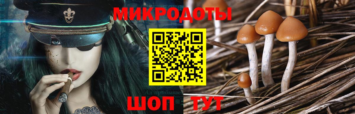 Псилоцибиновые грибы Cubensis Михайловск